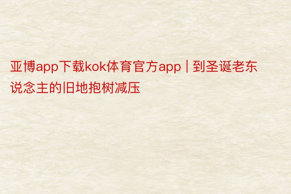 亚博app下载kok体育官方app | 到圣诞老东说念主的旧地抱树减压