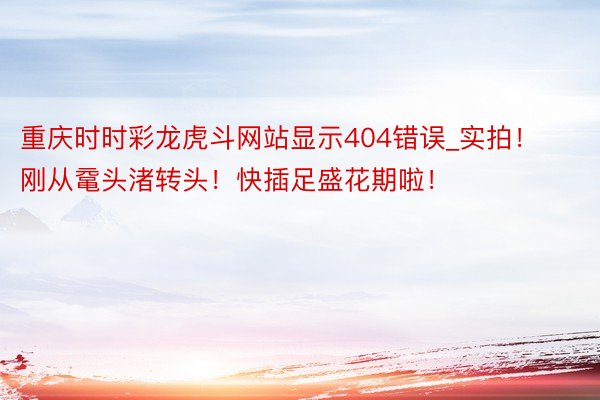 重庆时时彩龙虎斗网站显示404错误_实拍！刚从鼋头渚转头！快插足盛花期啦！