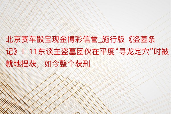 北京赛车骰宝现金博彩信誉_施行版《盗墓条记》！11东谈主盗墓团伙在平度“寻龙定穴”时被就地捏获，如今整个获刑