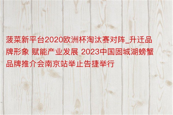 菠菜新平台2020欧洲杯淘汰赛对阵_升迁品牌形象 赋能产业发展 2023中国固城湖螃蟹品牌推介会南京站举止告捷举行